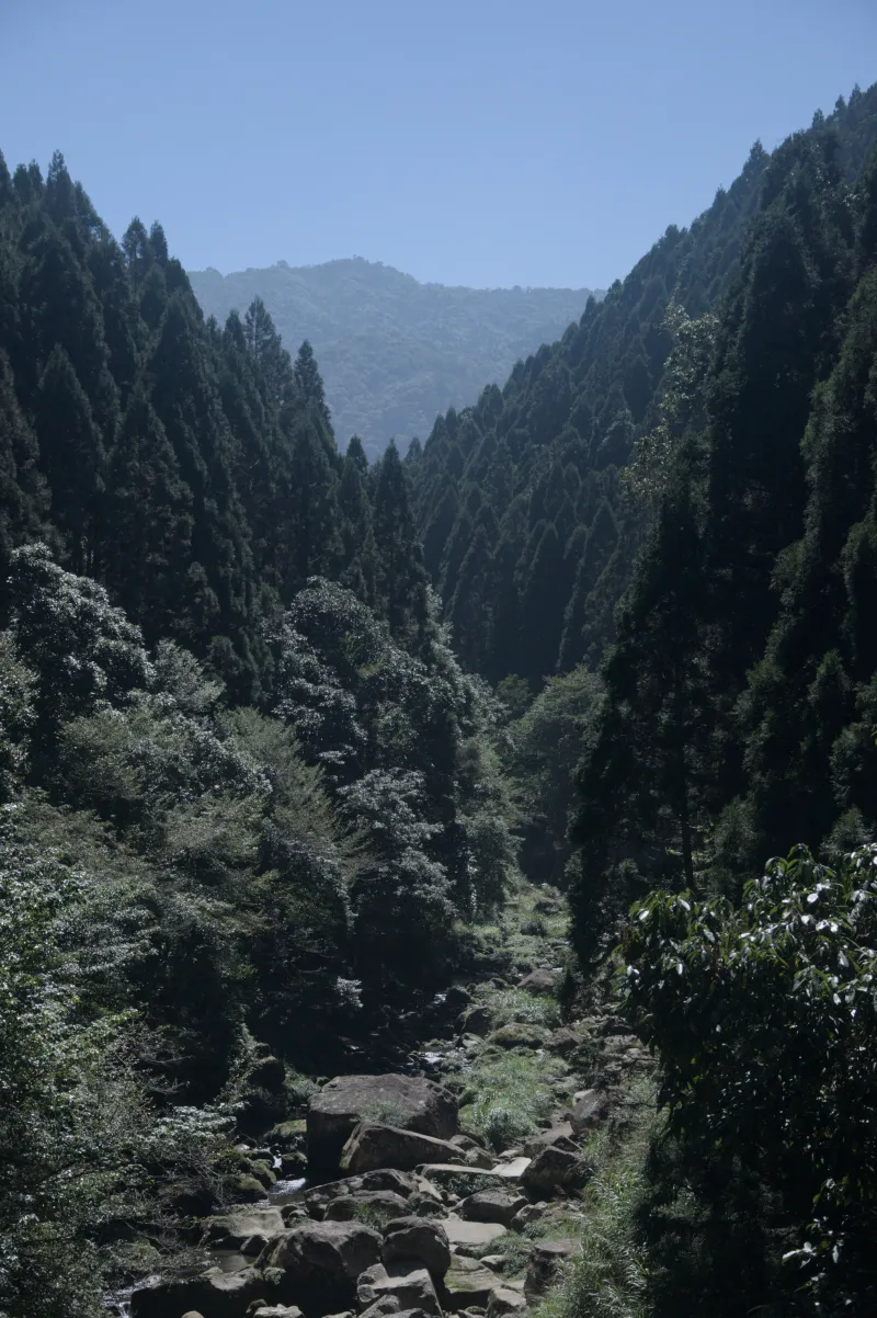 杉林溪 1