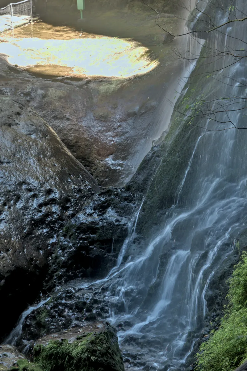杉林溪 14
