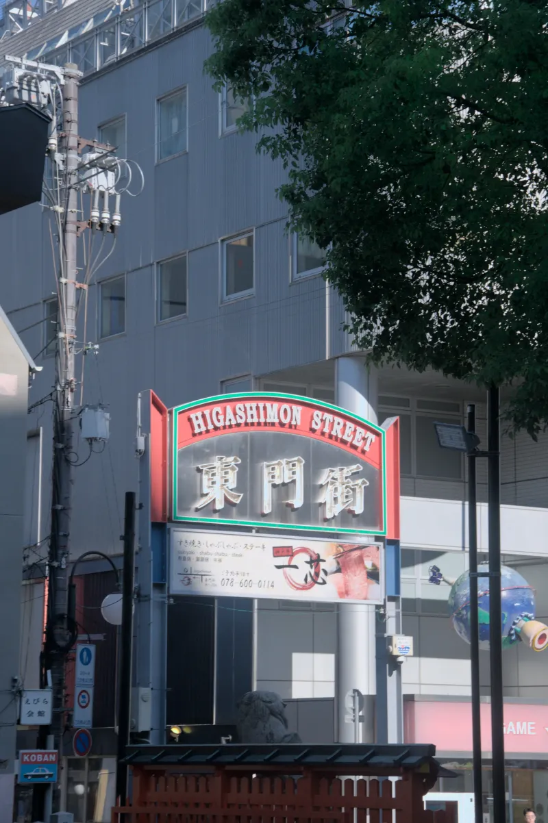 日本阪神遊 15