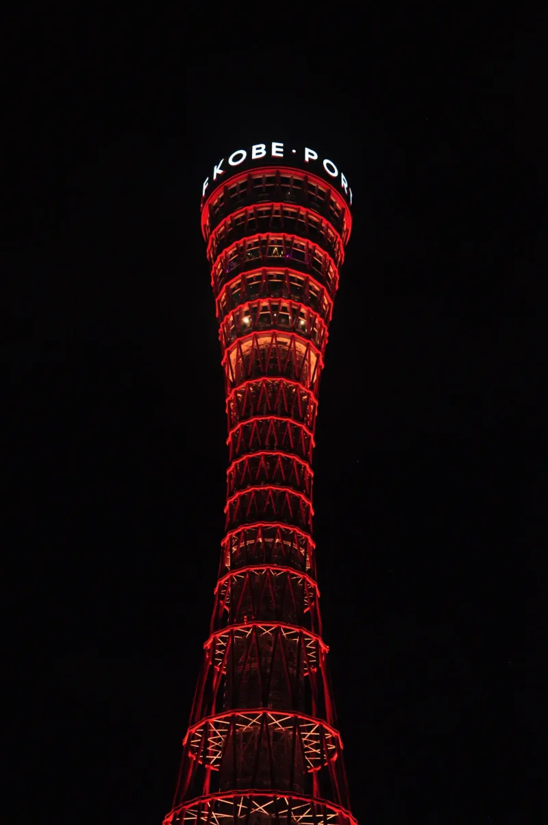 日本阪神遊 28